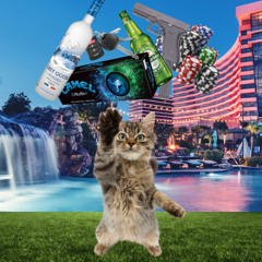 #IgnoringOpenContainerLaws2025