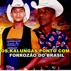 Quero ouvir os kalungas (feat. OS KALUNGAS 2024, OS KALUNGAS NOVO CD, OS KALUNGAS 2024 CD COMPLETO, OS KALUNGAS DO FORRÓ, OS KALUNGAS FORROZÃO 2024, OS KALUNGAS DE GOIÁS & OS KALUNGAS 2024 MÚSICA NOVA)