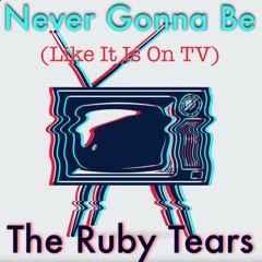 Never Gonna Be (Like It Is On TV) - 2023 version