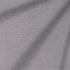 Muffle Truffle 12/9/2024