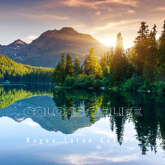 Colors of Life (Original Mix)