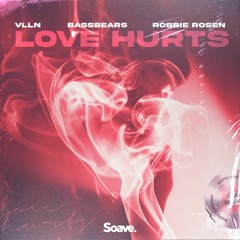 VLLN, BassBears & Robbie Rosen - Love Hurts