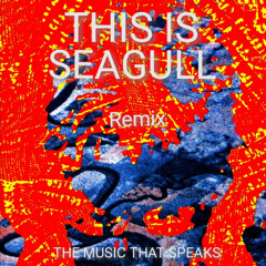THIS IS SEAGULL - REMIX REC-2025-12-06