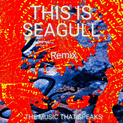 THIS IS SEAGULL - REMIX REC-2025-12-06