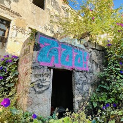 Z00 HARDCORE CHANNEL