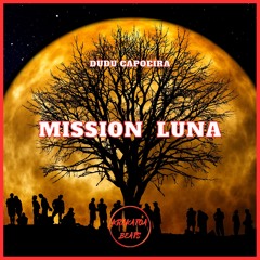 Mission Luna