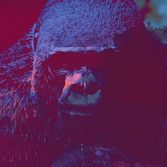 My Gorilla