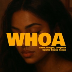 Snoh Aalegra - Whoa (Soulful house Remix)