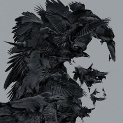 Vassila - Flying Crows - (Special Edition)