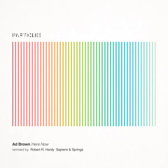 Here Now (Robert R. Hardy Remix)