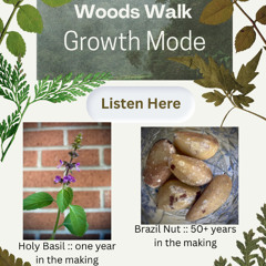 Growth Mode