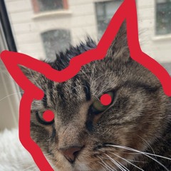 Musik der bygger dine muskler