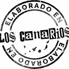 Fungo @ Oasis Gran Canaria (11.11.2023)