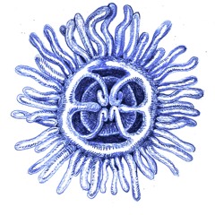Diffusion
