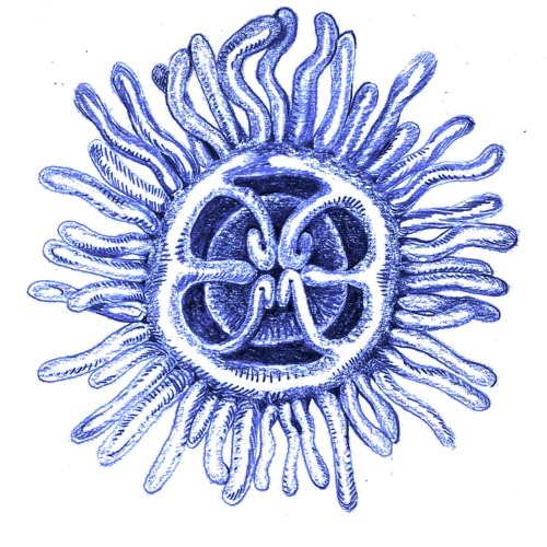 Diffusion