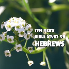 Men's Bible Study - 2014-12-02 - Hebrews 5