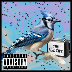 BIRD $CAM