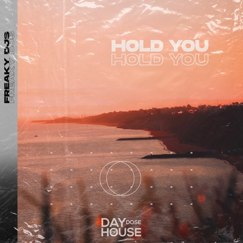 Freaky DJs - Hold You