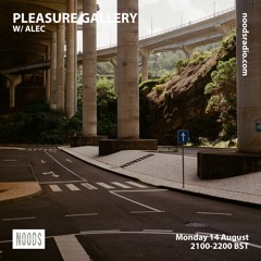 pleasure gallery w/ alec - noods radio - august 2023