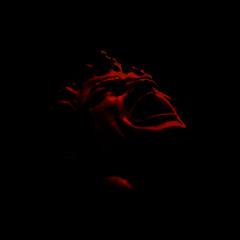 Coincidence (Free Download)