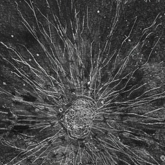 VAISANEN - ABYSS - 18.6.2022