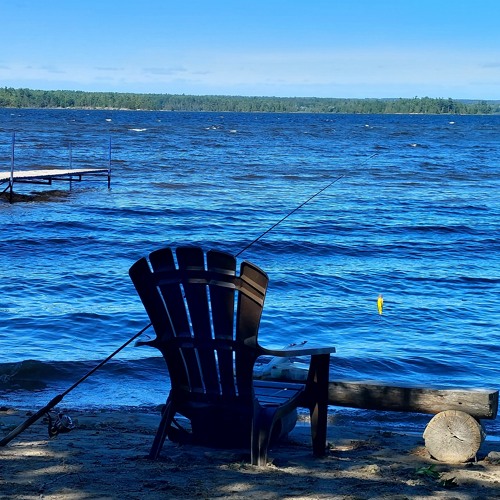 The Days Progressing