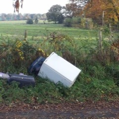 Free The Fridge Idea