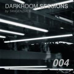 Atmospheric Drum and Bass Vinyl Mix - Darkroom Sessions 004 (Nov 2024)