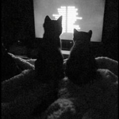 White 2115 - Spadająca Gwiazda (Speed up song)