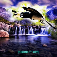 BIRDNEST #051 | Deep Sunday Flight | Podcast by The Lahar