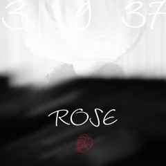 Rose - رز