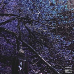 Pharaoh - Надеюсь у тебя нет аллергии на клубнику [slowed+reverb]