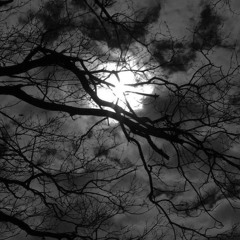 dancing nihilist loop slowed