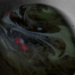 Brizzy - “who TF you foolin”