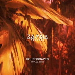 Y Do I - I Need You (Original Mix) [Zamna Records]