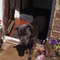 Who’s This ? (Prod. T.O)