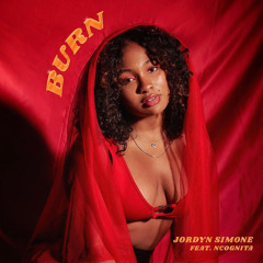 BURN (feat. NCognita)