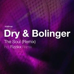 01 The Soul (Fizzikx Remix)