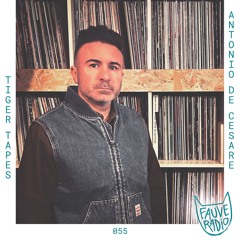 Tiger Tapes 055 - Antonio De Cesare