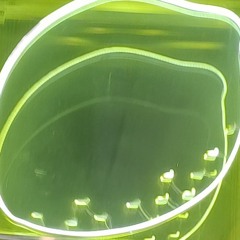 le plaisir d'une femme