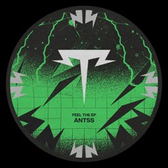 Antss - Feel The Groove (Original Mix)