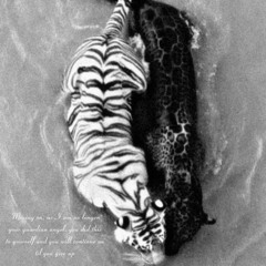 moving on, as i am no longer your guardian angel (prod. tsein)