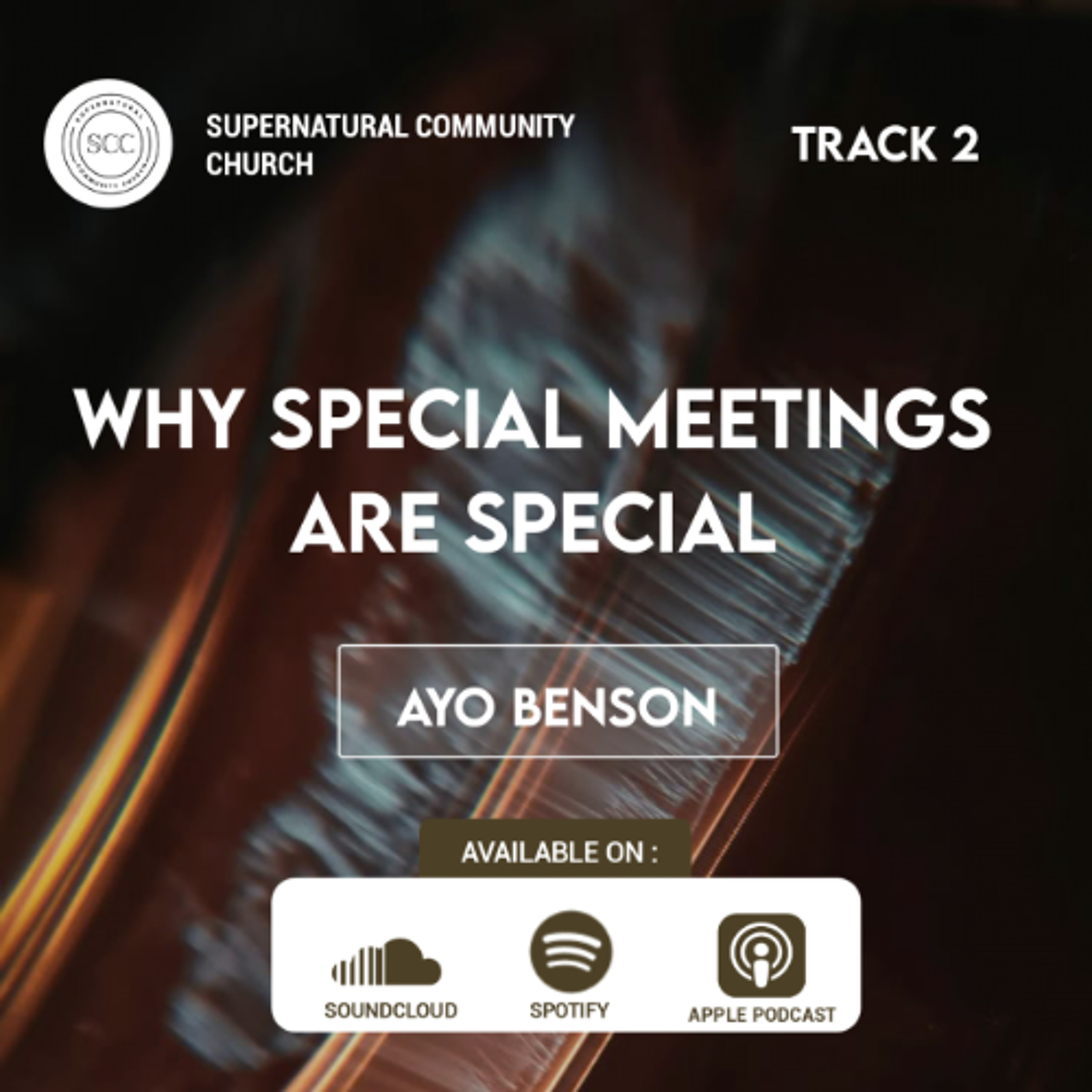 Why Special Meetings are Special (2)
