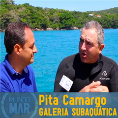 #7 Galeria Subaquática em Santa Catarina - Pita Gamargo