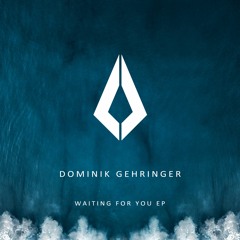 Dominik Gehringer - Waiting For You