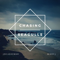 Chasing Seagulls w Joe Adhemar
