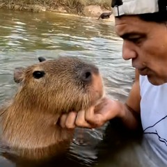 Emision 1 - postapocaliptica