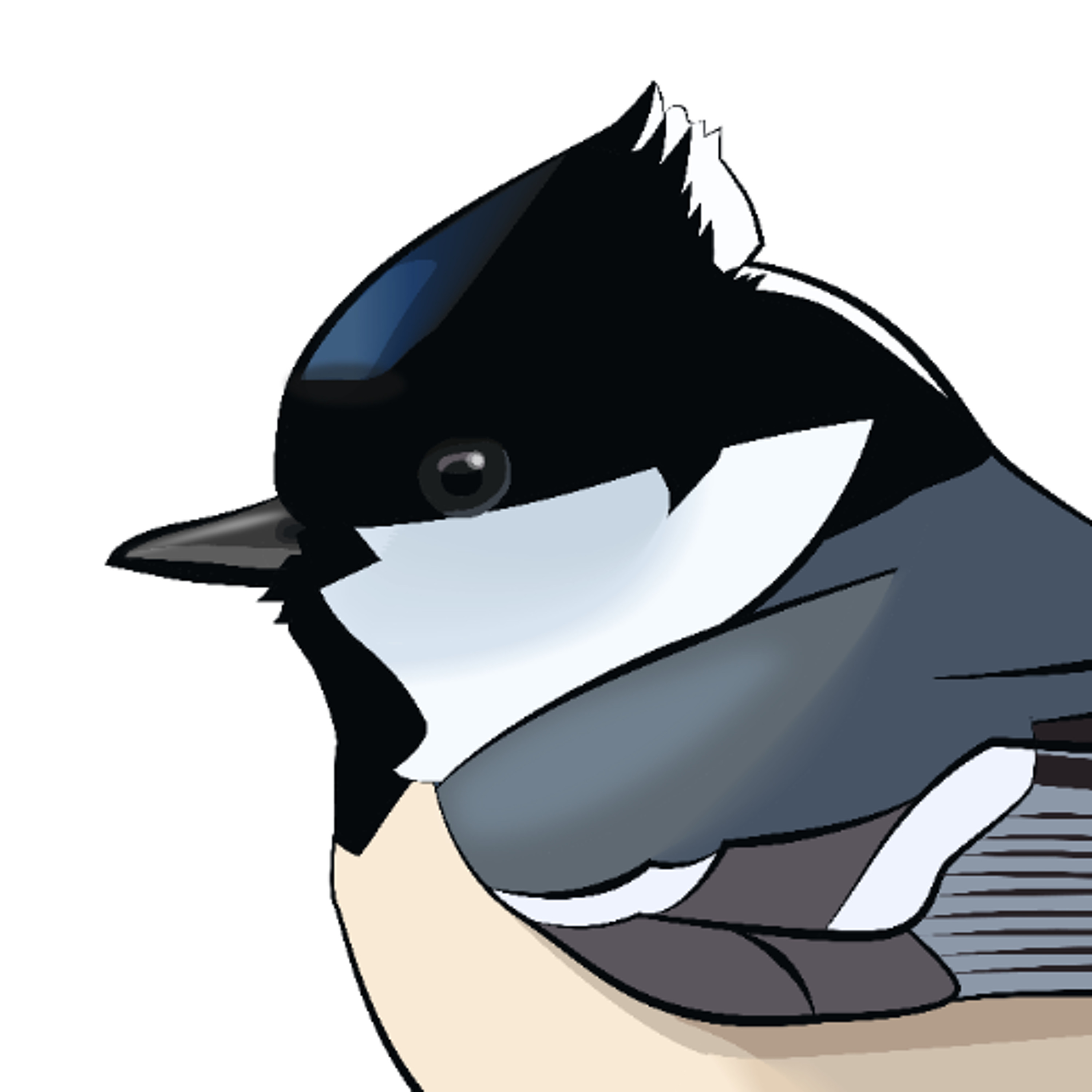 61: Från svartmesar tll större liror