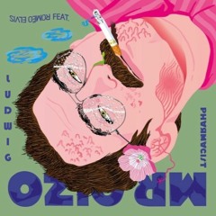 MR. OIZO feat ROMEO ELVIS "PHARMACIST" (LUDWIG REMIX)