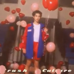 Crush Culture by Conan Gray - Nightcore